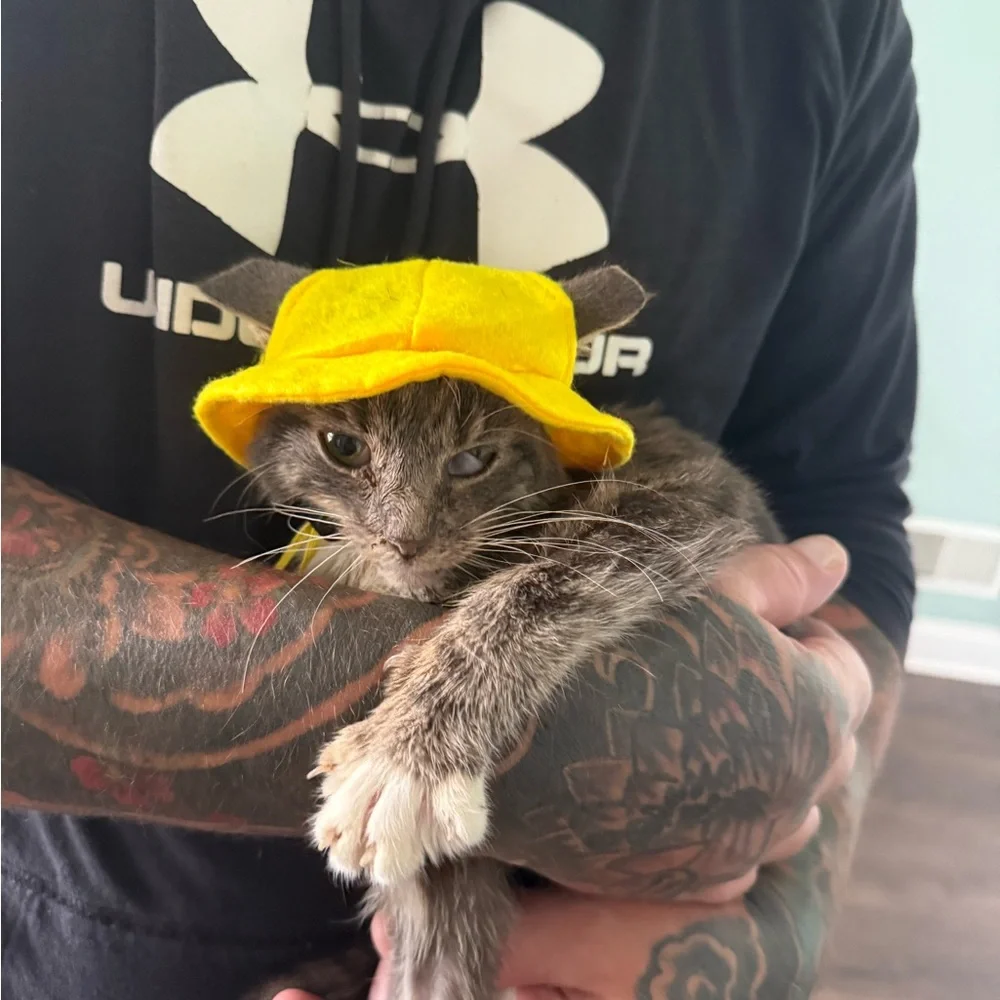 Yellow Cat Hat